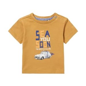 Noppies Baby Boys tee Mio Koszulka dziecięca, Apple Cinnamon P005, 74