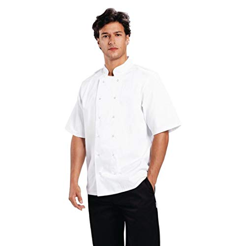 Whites Chefs Apparel B250 L Boston kurtka z krótkim rękawem, duża, biała