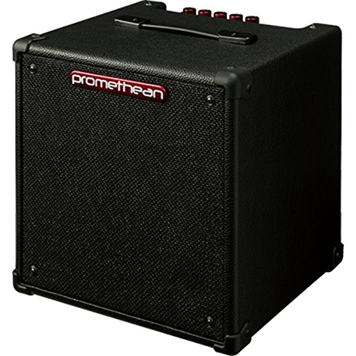 IBANEZ Promethean E Bass Combo wzmacniacz 20 W @ 8Ω 1 x głośnik 8" (P20) - obrazek 1