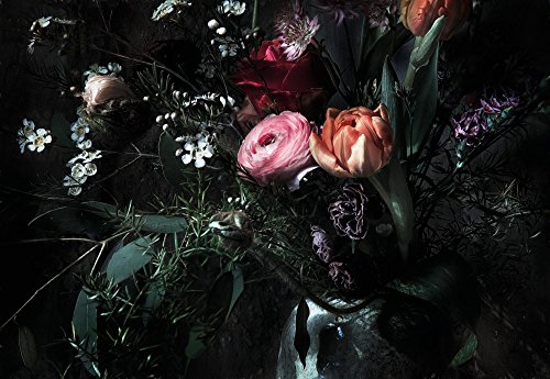 Fototapeta Still Life 368 x 254 cm Komar - obrazek 1