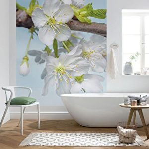 Komar fototapeta z włókniny BLOSSOM 184 x 248 cm tapeta, ściana, dekoracja, okładzina ścienna, obraz ścienny, dekoracja natura, kwiat jabłka XXL2 033 Komar fototapeta z włókniny BLOSSOM 184 x 248 cm tapeta, ściana, dekoracja, okładzina ścienna, obraz ścienny, dekoracja natura, kwiat jabłka XXL2 033