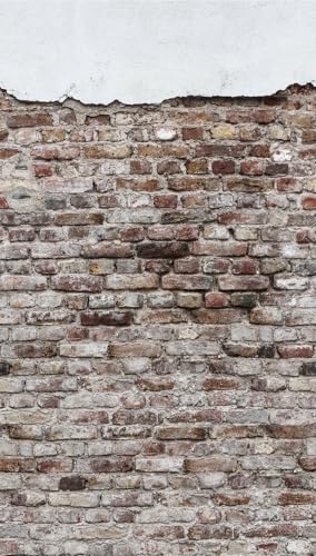 Livingwalls Tapeta z cegły, szara, czarna, 38331, o wyglądzie kamienia, do salonu przemysłowego, 1,59 x 2,80 m, wyprodukowano w Niemczech