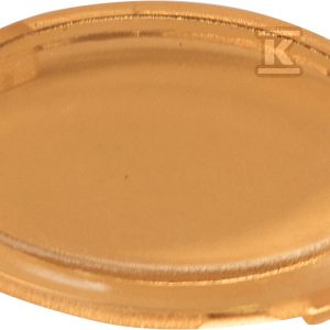 Płytka przycisku podświetlanego płaska – pomarańczowa EAFI-A 004771527 Płytka przycisku podświetlanego płaska – pomarańczowa EAFI-A 004771527