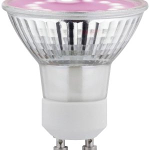 Lampa LED do roślin wspomagająca wzrost Paulmann 28974 230 V GU10 3.5 W 1 szt. Lampa LED do roślin wspomagająca wzrost Paulmann 28974 230 V GU10 3.5 W 1 szt.