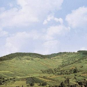 Tło modelarskie Loewenstein Wuertembergia w skali H0 Tło modelarskie Loewenstein Wuertembergia w skali H0