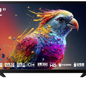 Dyon Enter 22 Pro X2 Telewizor LCD 55 cm 22 cal EEK E (A – G) CI+, DVB-C, DVB-S2, DVB-T2, Full HD czarny Dyon Enter 22 Pro X2 Telewizor LCD 55 cm 22 cal EEK E (A – G) CI+, DVB-C, DVB-S2, DVB-T2, Full HD czarny