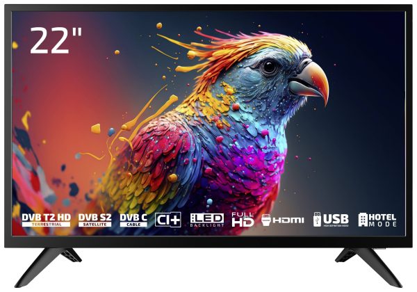 Dyon Enter 22 Pro X2 Telewizor LCD 55 cm 22 cal EEK E (A – G) CI+, DVB-C, DVB-S2, DVB-T2, Full HD czarny