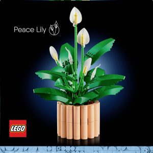 LEGO® ICONS™ 11504 LEGO – 11504 Botanicals Friedenslilie LEGO® ICONS™ 11504 LEGO – 11504 Botanicals Friedenslilie