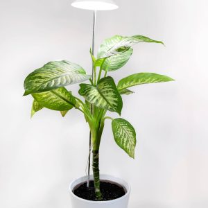 Lampa LED do roślin wspomagająca wzrost Venso E504 199 SUNLiTE XL 25 W Weiß 230 V LED wbudowany na stałe 25 W 1 szt. Lampa LED do roślin wspomagająca wzrost Venso E504 199 SUNLiTE XL 25 W Weiß 230 V LED wbudowany na stałe 25 W 1 szt.