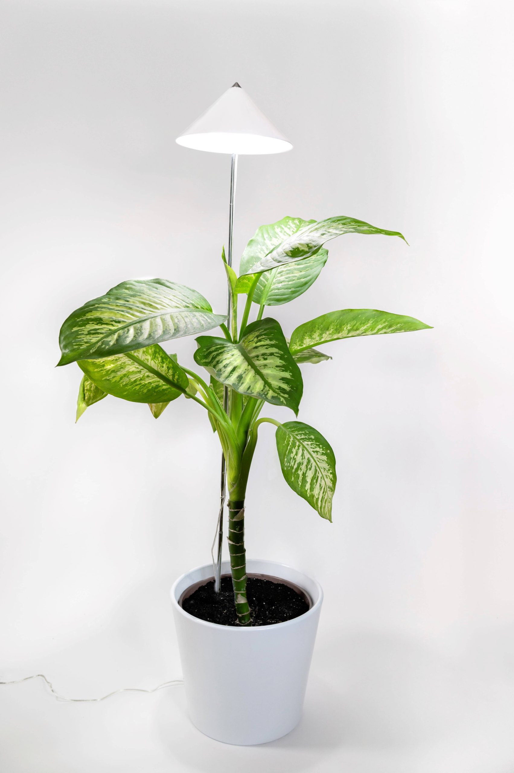 Lampa LED do roślin wspomagająca wzrost Venso E504 199 SUNLiTE XL 25 W Weiß 230 V LED wbudowany na stałe 25 W 1 szt. - obrazek 1