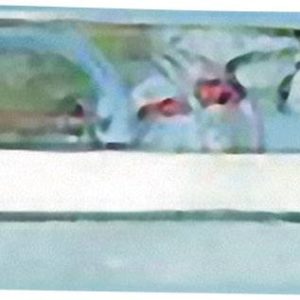 Żarówka sygnalizacyjna Barthelme 00543040, T6,8 (6,8X44) 30V 40MA Żarówka sygnalizacyjna Barthelme 00543040, T6,8 (6,8X44) 30V 40MA