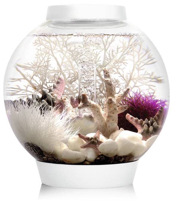 Akwarium akrylowe Oase biOrb CLASSIC 15 LED weiß 72001, z Podświetleniem LED, 15 l, (Ø x W) 300 mm x 320 mm