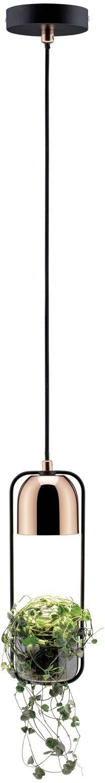 Lampa sufitowa, podwieszana Paulmann Fanja 79749 GU10 20 W miedziany, czarny - obrazek 1