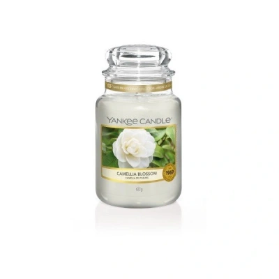 Yankee Candle Świeca Zapachowa w Słoiku, Wosk Szkło, Camellia Blossom, 623 g Yankee Candle Świeca Zapachowa w Słoiku, Wosk Szkło, Camellia Blossom, 623 g